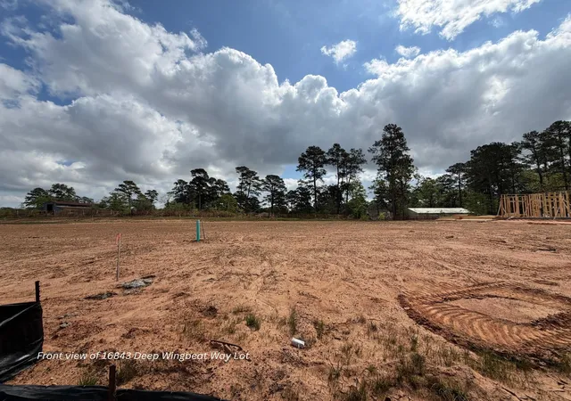 12th image of 18843 Deep Wingbeat Wy, Magnolia, TX 77354 | MLS# 83079156