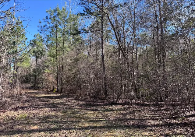 Photo 2 of Land for sale at Tbd Cr 2669,2670, Cleveland, TX 77327 | MLS# 57290467 | Listing updated on 2026-08-27