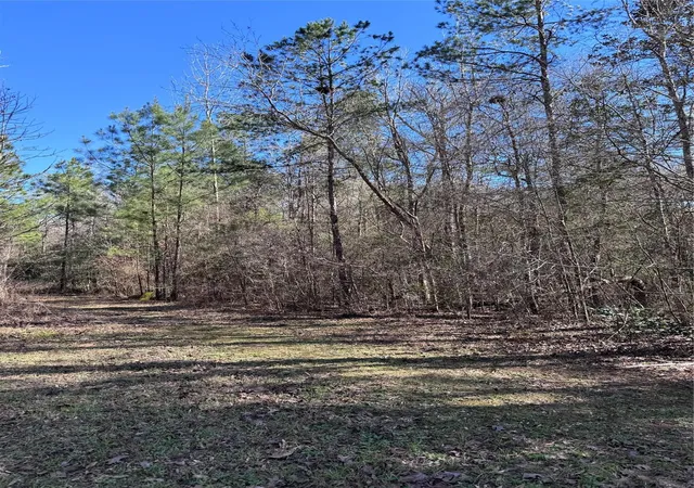 Photo 3 of Land for sale at Tbd Cr 2669,2670, Cleveland, TX 77327 | MLS# 57290467 | Listing updated on 2026-08-27