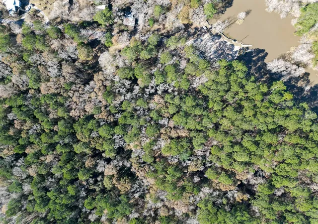Photo 3 of Land for sale at 0 Tr 9 Dunnam Rd, Kingwood, TX 77345 | MLS# 43828392 | Listing updated on 2026-06-18
