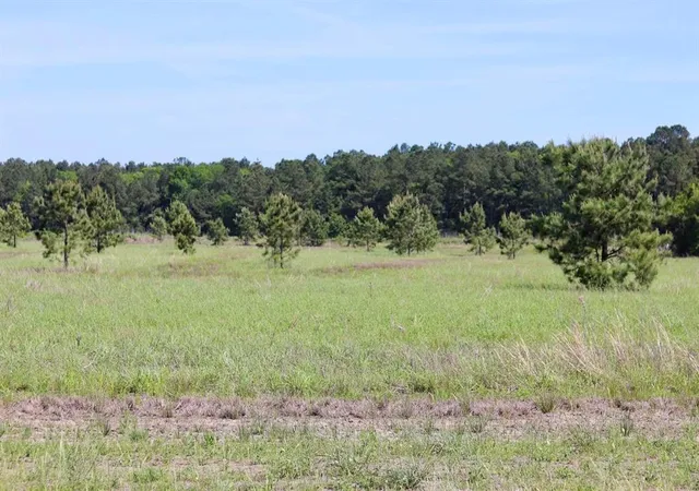 Photo 1 of Land for sale at 27480 Highway 365 Rd, Beaumont, TX 77705 | MLS# 19082205 | Listing updated on 2026-07-21