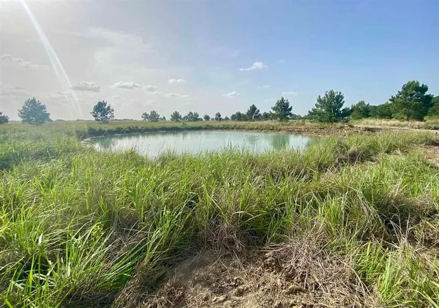 Photo 2 of Land for sale at 27480 Highway 365 Rd, Beaumont, TX 77705 | MLS# 19082205 | Listing updated on 2026-07-21