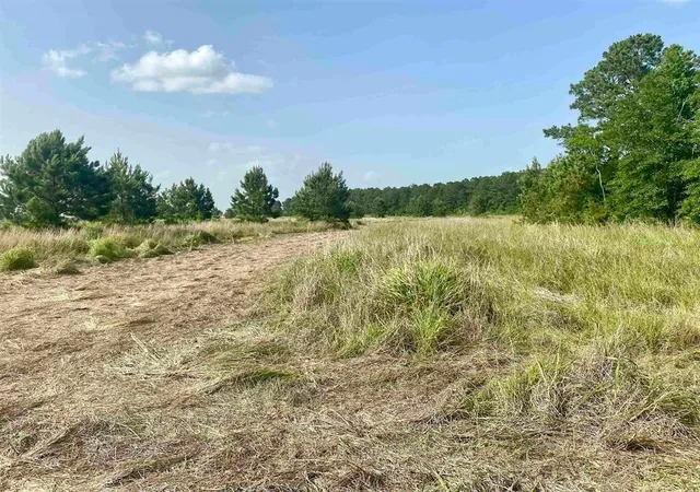 Photo 3 of Land for sale at 27480 Highway 365 Rd, Beaumont, TX 77705 | MLS# 19082205 | Listing updated on 2026-07-21