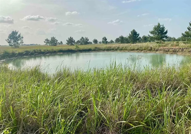 Photo 3 of Land for sale at 27480 Highway 365 Rd, Beaumont, TX 77705 | MLS# 19082205 | Listing updated on 2026-07-21