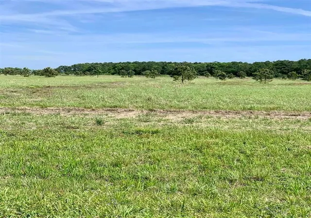 Photo 4 of Land for sale at 27480 Highway 365 Rd, Beaumont, TX 77705 | MLS# 19082205 | Listing updated on 2026-07-21