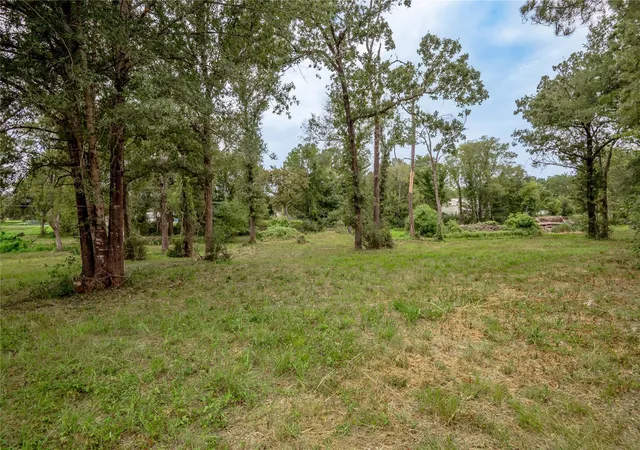 Photo 37 of Land for sale at Tbd Johnson St, Riverside, TX 77320 | MLS# 65607671 | Listing updated on 2026-08-03