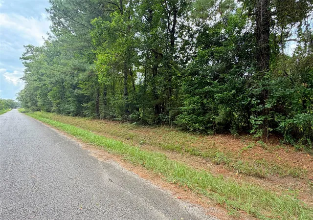 Photo 3 of Land for sale at 21981 Carol Rd, New Caney, TX 77357 | MLS# 68813125 | Listing updated on 2026-08-08