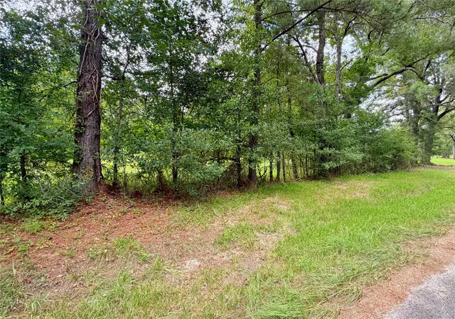 Photo 3 of Land for sale at 21981 Carol Rd, New Caney, TX 77357 | MLS# 68813125 | Listing updated on 2026-08-08