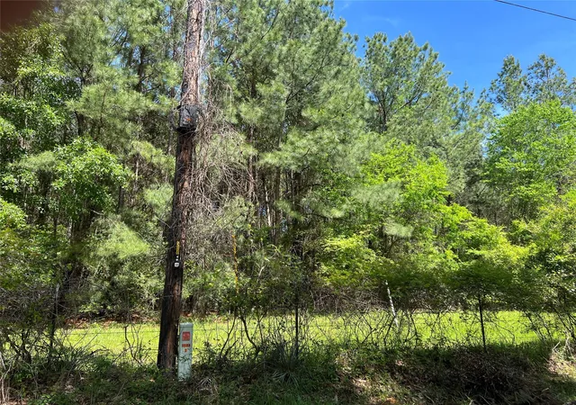 Homes for sale in Bedias, TX | (Tract 1) 33 Eubanks Rd, Bedias, TX 77831 | MLS# 14215671