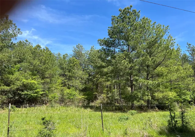 Homes for sale in Bedias, TX | (Tract 1) 33 Eubanks Rd, Bedias, TX 77831 | MLS# 14215671