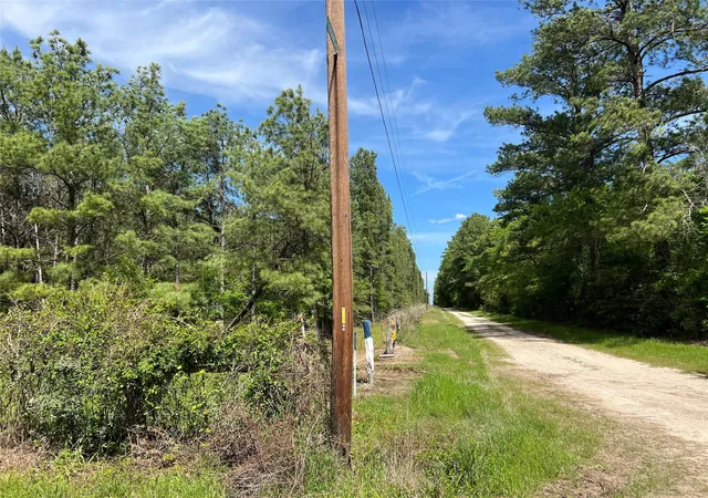 Homes for sale in Bedias, TX | (Tract 1) 33 Eubanks Rd, Bedias, TX 77831 | MLS# 14215671