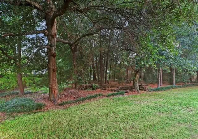 42nd image of 16826 E Maglitto Cir, Tomball, TX 77377 | MLS# 70920367