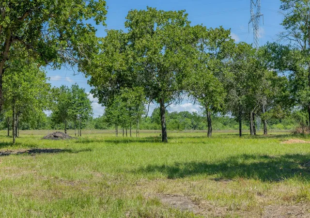 Homes for sale in Bedias, TX | 6593 Atakapan Trail, Bedias, TX 77831 | MLS# 56535905