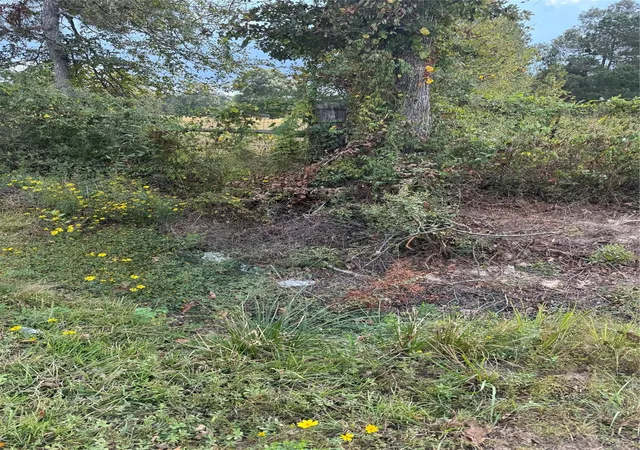 11th image of 000 Farm To Market 1010, Cleveland, TX 77327 | MLS# 59943888