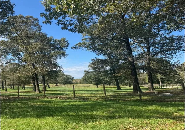 Photo 4 of Land for sale at 12494-725 Hill Crk Rd, Montgomery, TX 77356 | MLS# 92305658 | Listing updated on 2026-04-15