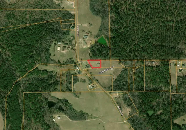 16th image of 184 County Road 1905 A, Jacksonville, TX 75766 | MLS# 32364705