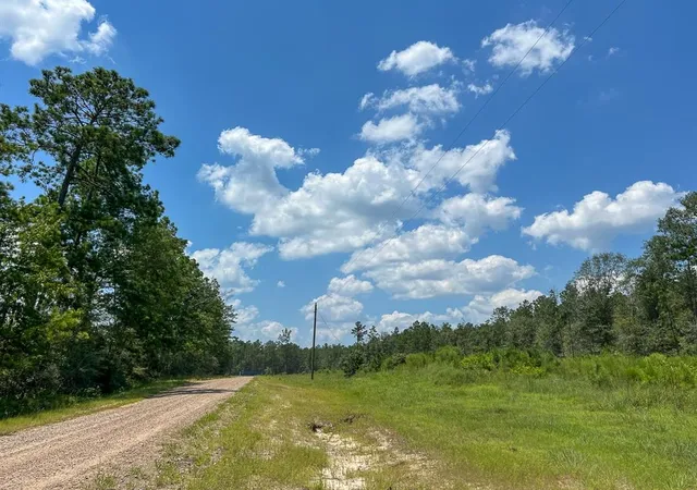 2nd image of 0007 Purvis Blvd, Corrigan, TX 77351 | MLS# 33626223
