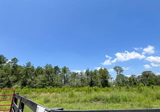 4th image of 0007 Purvis Blvd, Corrigan, TX 77351 | MLS# 33626223