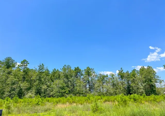 5th image of 0007 Purvis Blvd, Corrigan, TX 77351 | MLS# 33626223