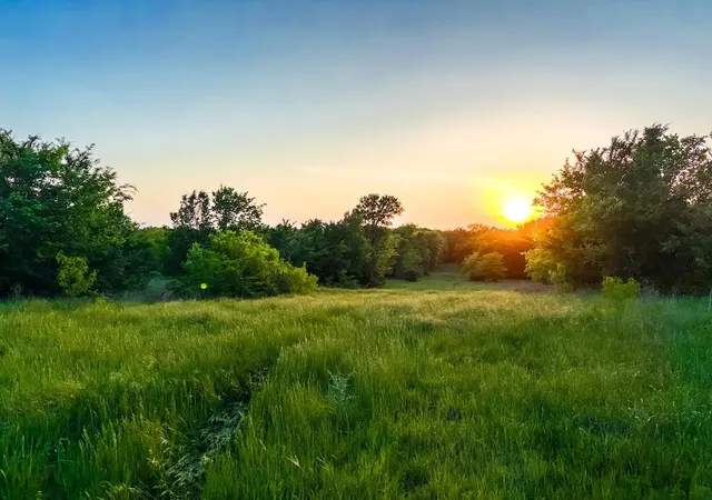 Land for sale at 000 County Rd 855, Teague, TX 75860 | MLS# 65547464