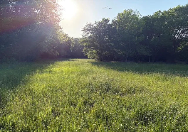 Photo 2 of Land for sale at 000 County Rd 855, Teague, TX 75860 | MLS# 65547464 | Listing updated on 2026-09-02