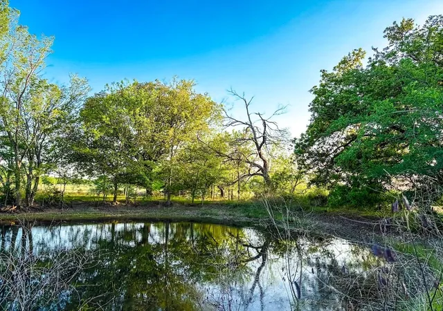 Photo 4 of Land for sale at 000 County Rd 855, Teague, TX 75860 | MLS# 65547464 | Listing updated on 2026-09-02