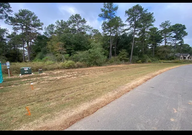 Homes for sale in Plantersville, TX | 9304 Cedar Bnd Ct, Plantersville, TX 77363 | MLS# 63227274