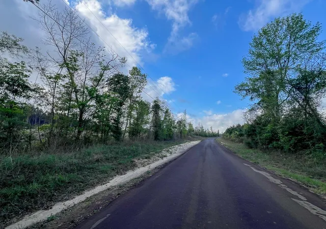 2nd image of 000 Hwy 190, Woodville, TX 75979 | MLS# 5746032