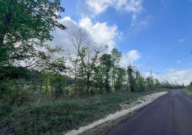 3rd image of 000 Hwy 190, Woodville, TX 75979 | MLS# 5746032
