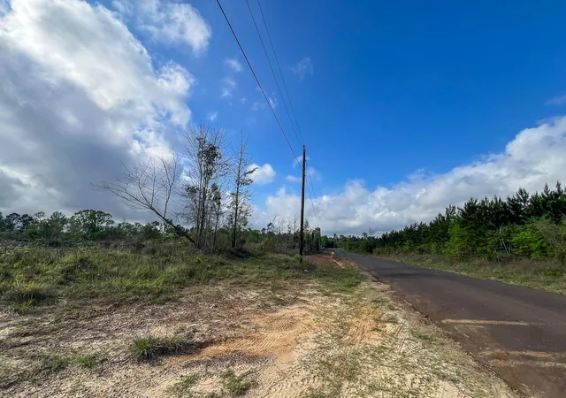 4th image of 000 Hwy 190, Woodville, TX 75979 | MLS# 5746032
