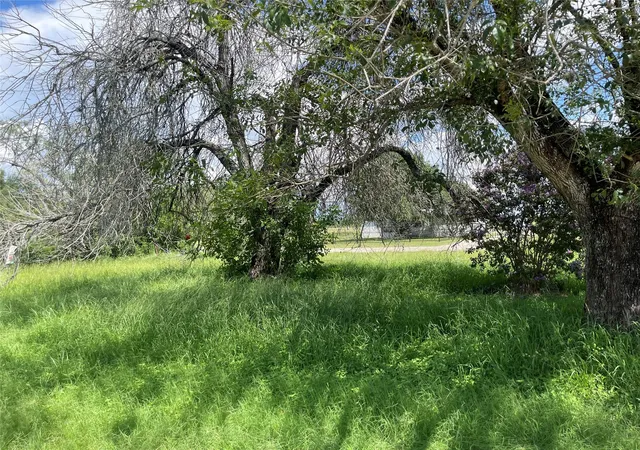 Photo 3 of Single family home for sale at 390 Bell Rd, Seguin, TX 78155 | MLS# 65792304 | Listing updated on 2026-07-27