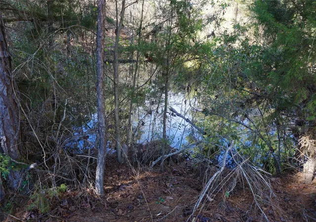 Photo 11 of Land for sale at 0 County Rd 352, Palestine, TX 75803 | MLS# 28697884 | Listing updated on 2026-07-01