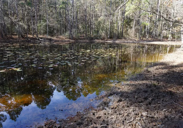 Photo 1 of Land for sale at 0 County Rd 352, Palestine, TX 75803 | MLS# 28697884 | Listing updated on 2026-07-01