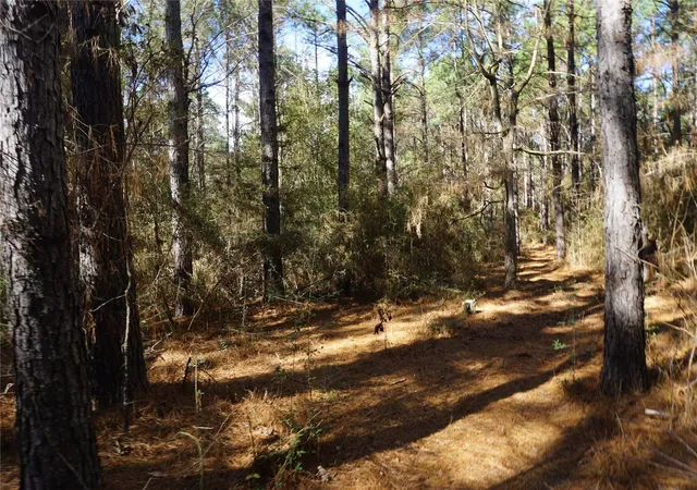Photo 2 of Land for sale at 0 County Rd 352, Palestine, TX 75803 | MLS# 28697884 | Listing updated on 2026-07-01