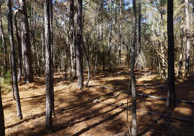 Photo 2 of Land for sale at 0 County Rd 352, Palestine, TX 75803 | MLS# 28697884 | Listing updated on 2026-07-01