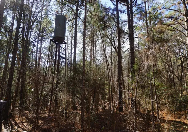 Photo 3 of Land for sale at 0 County Rd 352, Palestine, TX 75803 | MLS# 28697884 | Listing updated on 2026-07-01