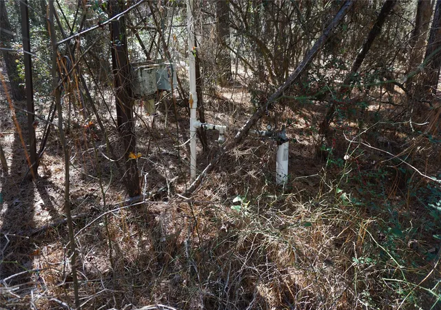 Photo 4 of Land for sale at 0 County Rd 352, Palestine, TX 75803 | MLS# 28697884 | Listing updated on 2026-07-01