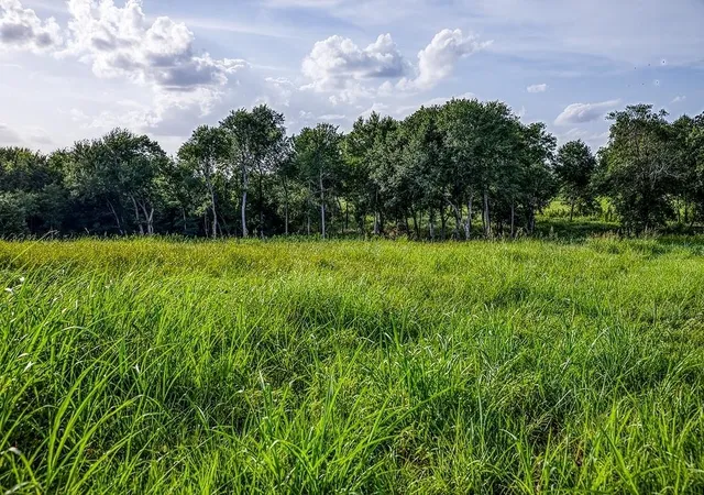 Photo 3 of Land for sale at Lot 3 Hargrove Ln, Washington, TX 77880 | MLS# 81799787 | Listing updated on 2026-06-18