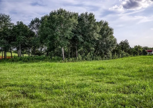 Photo 4 of Land for sale at Lot 3 Hargrove Ln, Washington, TX 77880 | MLS# 81799787 | Listing updated on 2026-06-18