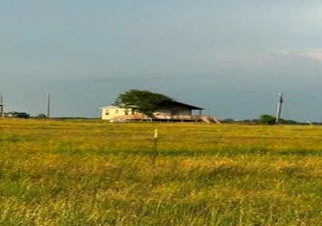 Photo 2 of Land for sale at 1240 Crooked Rd, Cat Spring, TX 78933 | MLS# 48907959 | Listing updated on 2026-08-10