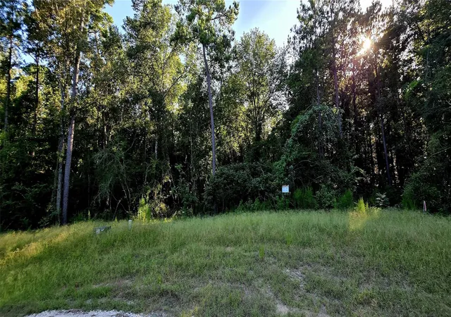 Photo 1 of Land for sale at 107 Romantic Dreams Ct, Huntsville, TX 77340 | MLS# 30840001 | Listing updated on 2026-08-07
