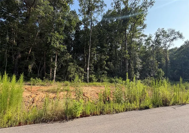 Photo 1 of Land for sale at 241 County Rd 6311, Dayton, TX 77535 | MLS# 12049054 | Listing updated on 2026-06-22