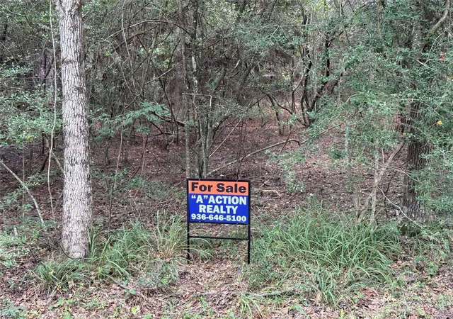 Photo 1 of Land for sale at Tbd Mockingbird Hls, Livingston, TX 77351 | MLS# 87285297 | Listing updated on 2026-08-28