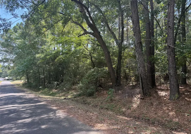 Photo 2 of Land for sale at Tbd Mockingbird Hls, Livingston, TX 77351 | MLS# 87285297 | Listing updated on 2026-08-28