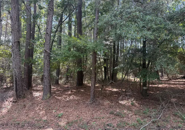 Photo 3 of Land for sale at Tbd Mockingbird Hls, Livingston, TX 77351 | MLS# 87285297 | Listing updated on 2026-08-28