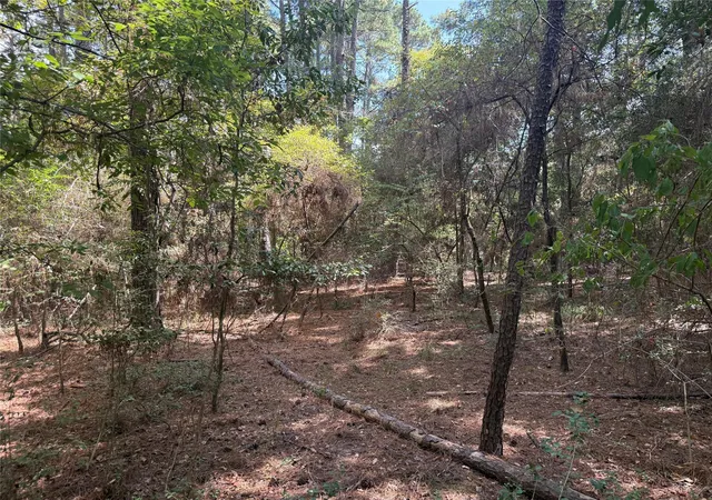 Photo 3 of Land for sale at Tbd Mockingbird Hls, Livingston, TX 77351 | MLS# 87285297 | Listing updated on 2026-08-28