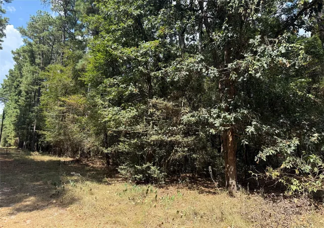 Photo 4 of Land for sale at Tbd Mockingbird Hls, Livingston, TX 77351 | MLS# 87285297 | Listing updated on 2026-08-28