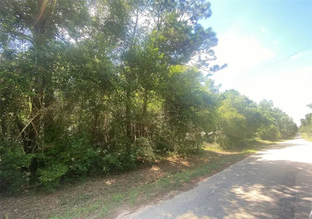 Homes for sale in Cleveland, TX | 33916 Hwy 146 N N, Cleveland, TX 77327 | MLS# 75601641