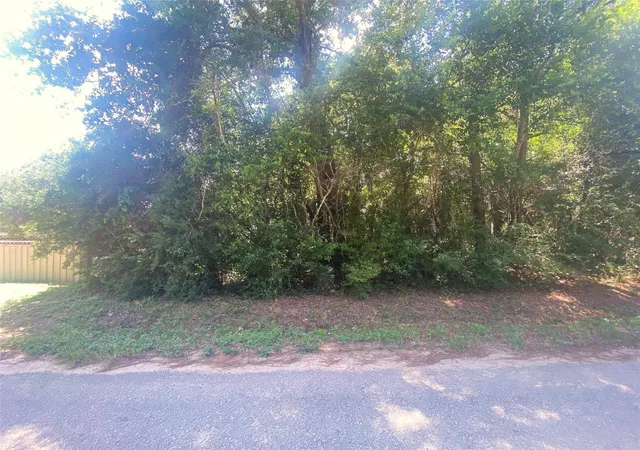 Homes for sale in Cleveland, TX | 33916 Hwy 146 N N, Cleveland, TX 77327 | MLS# 75601641