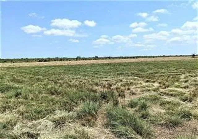 Photo 2 of Land for sale at 0 Cr 595, Angleton, TX 77515 | MLS# 43466314 | Listing updated on 2026-07-25